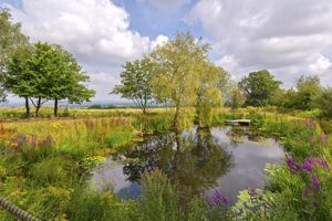 Photo 34- click for photo gallery